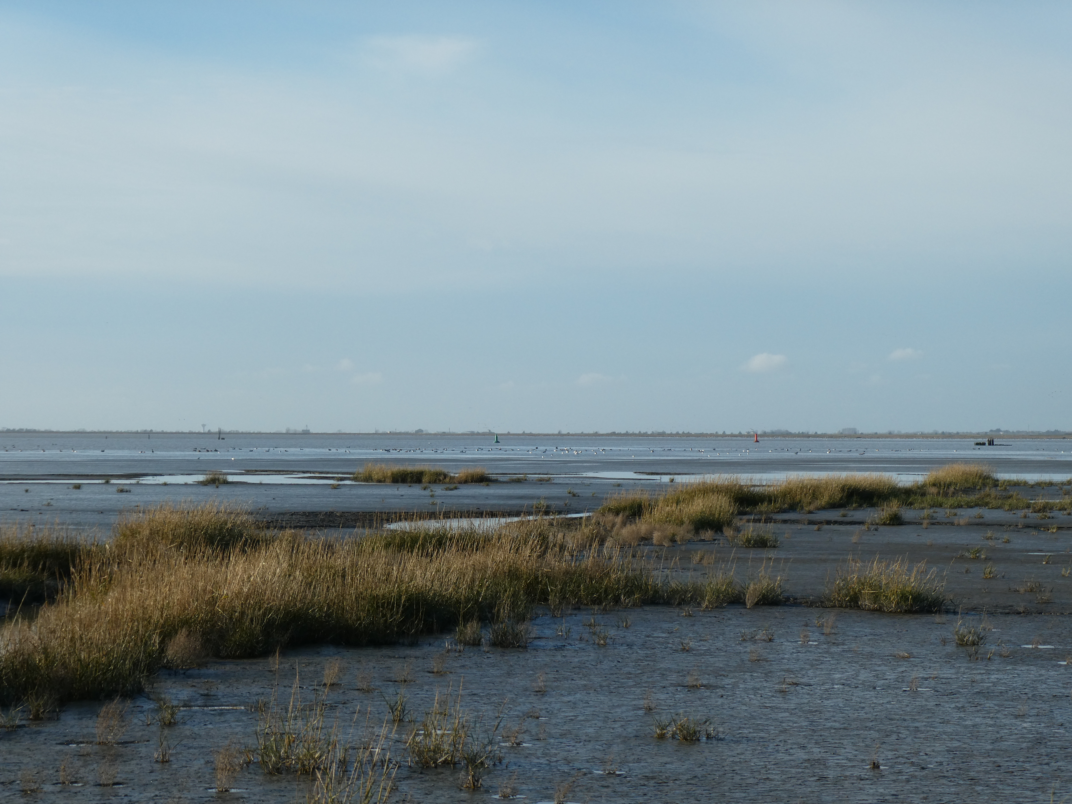 Vue depuis la Marina